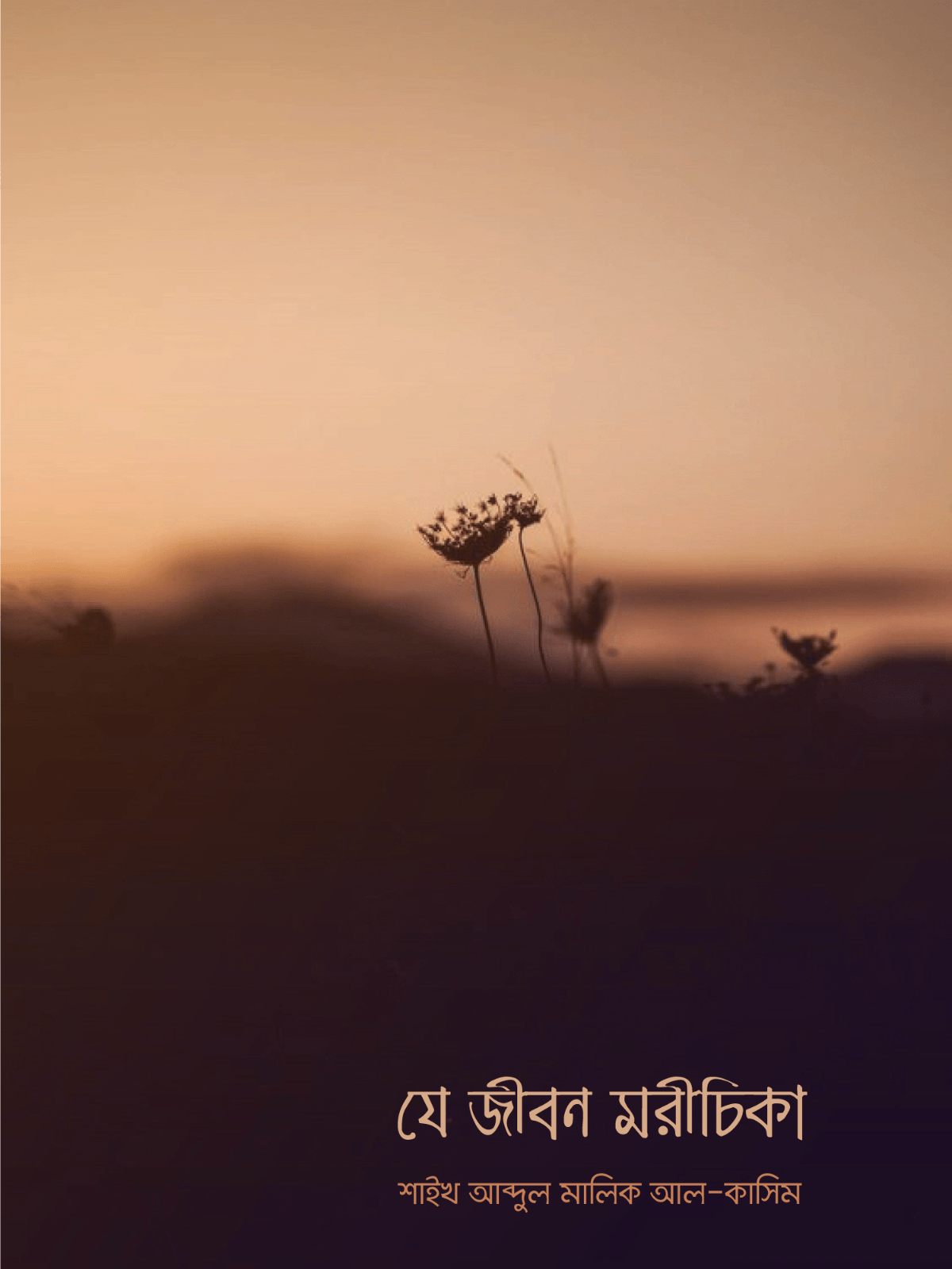 je-jibon-morichika