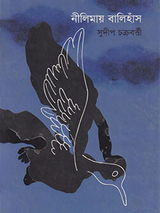 নীলিমায় বালিহাঁস