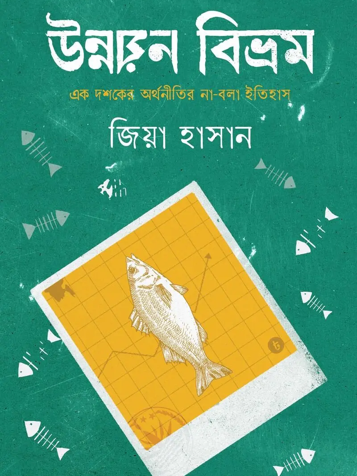 উন্নয়ন বিভ্রম