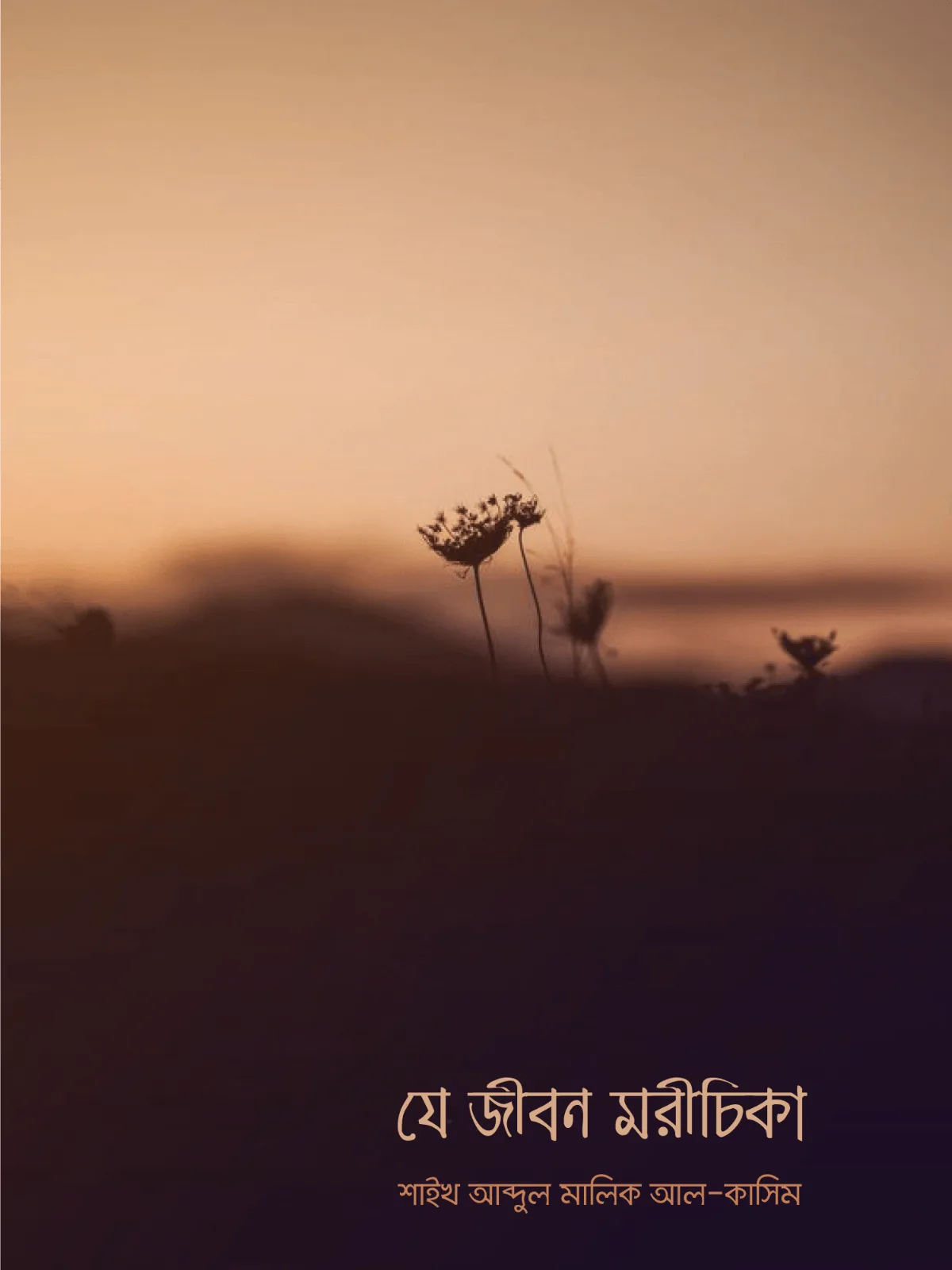 je-jibon-morichika
